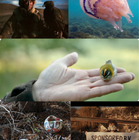 Progetto senza titolo 57