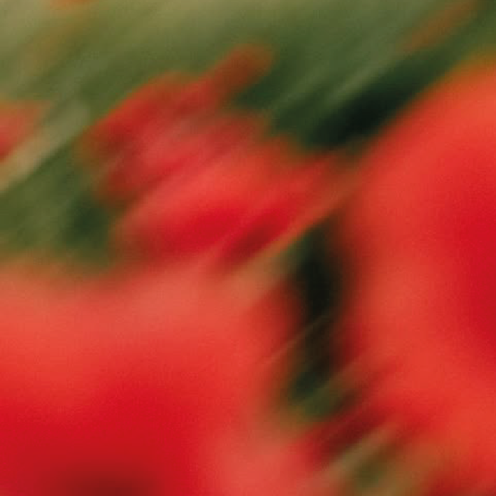 Dialoghi dalla residenza. Tavola rotonda su parola poetica e visione