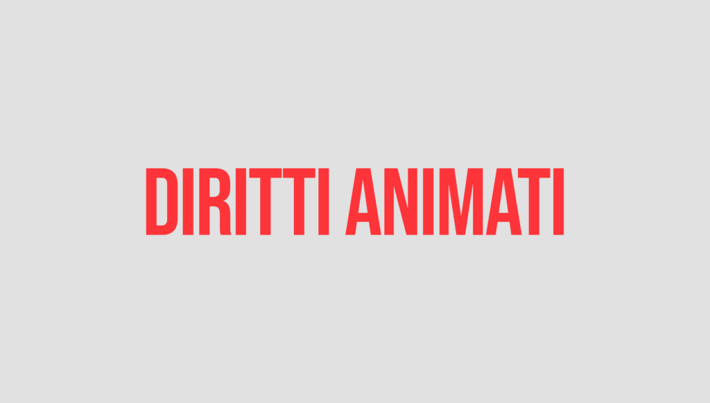 Diritti Animati