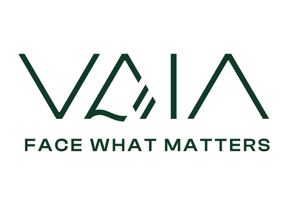 VAIA