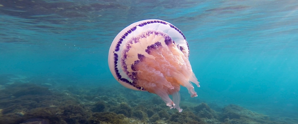 Ecologia in scena e nella realtà: un Festival sostenibile